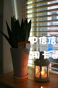 中信信用卡逾期要寄材料到戶籍地-中信信用卡逾期要寄材料到戶籍地嗎