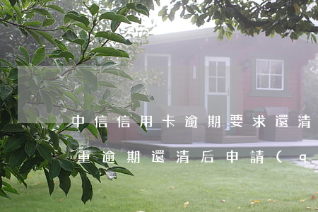 中信信用卡逾期要求還清全額 嚴(yán)重逾期還清后申請(qǐng)信用卡
