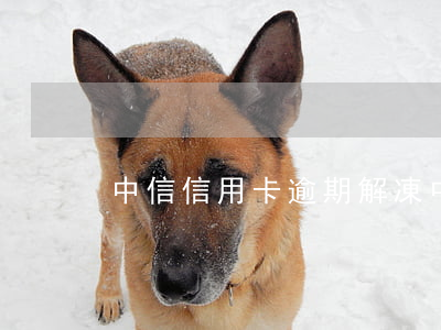中信信用卡逾期解凍 中信信用卡逾期解凍