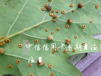 中信信用卡逾期說注銷卡(中信的信用卡如何注銷)