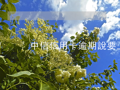 中信信用卡逾期說要上門