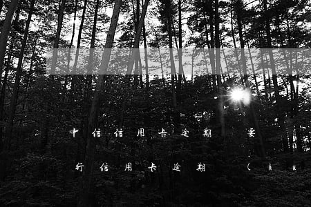 中信信用卡逾期說要凍結(jié)(中信銀行信用卡逾期會(huì)不會(huì)凍結(jié)其他銀行卡)