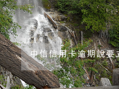 中信信用卡逾期說要立案