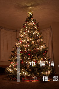 中信信用卡逾期起訴后如何處理-如何起訴中信銀行信用卡