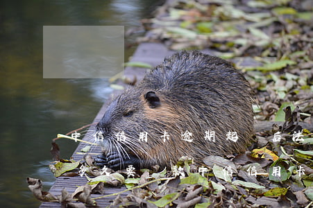 中信信用卡逾期起訴后法院會(huì)判多久要還款（中信信用卡逾期起訴2019）