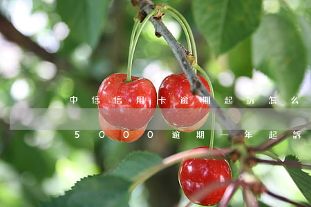 中信信用卡逾期起訴怎么辦(中信銀行信用卡5000逾期一年起訴)