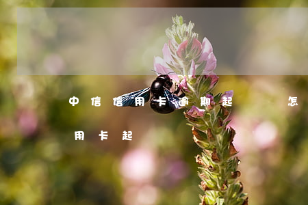 中信信用卡逾期起訴會怎么樣-中信銀行信用卡 起訴