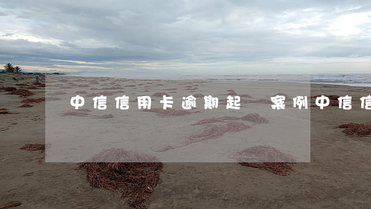 中信信用卡逾期起訴案例(中信信用卡 逾期)