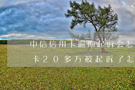 中信信用卡逾期起诉会怎样(欠中信银行信用卡20多万被起诉了怎么办)