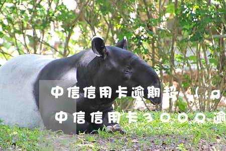 中信信用卡逾期超過(guò)100天-中信信用卡3000逾期五年了