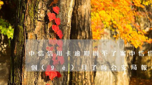 中信信用卡逾期辦不了案(中信信用卡逾期三個(gè)月了向公安局報(bào)案)