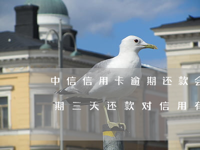 中信信用卡逾期还款会怎么样-中信银行逾期三天还款对信用有影响吗
