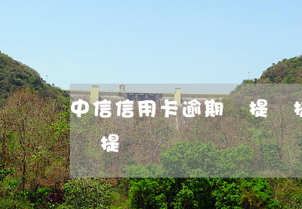中信信用卡逾期過提額提不了(有逾期信用卡會提額嗎)