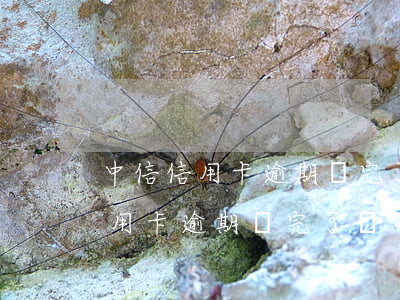 中信信用卡逾期還完了還可以用嗎-中信信用卡逾期還完了還可以用嗎現(xiàn)在