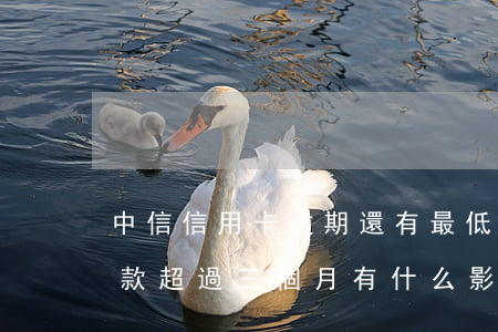 中信信用卡逾期還有最低(中信信用卡最低還款超過三個月有什么影響)