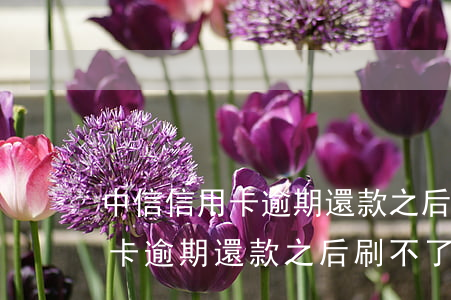 中信信用卡逾期還款之后刷不了了（中信信用卡逾期還款之后刷不了）