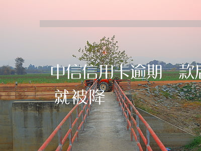 中信信用卡逾期還款后被降額(中信銀行還款就被降額)