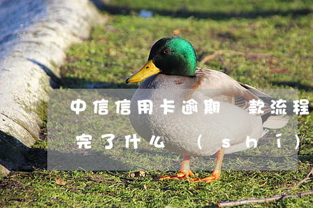 中信信用卡逾期還款流程(中信信用卡逾期還完了什么時(shí)候可以恢復(fù))