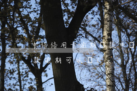 中信信用卡逾期還款申請分期嗎(中信銀行貸款逾期可以協(xié)商分期付款)