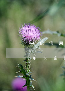 中信信用卡逾期還清還了還能用嗎-中信信用卡逾期還清還了還能用嗎