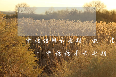 中信信用卡逾期還能辦理儲(chǔ)蓄卡嗎-中信信用卡逾期還能辦理儲(chǔ)蓄卡嗎現(xiàn)在