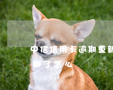 中信信用卡逾期重新分期(中信信用卡不能分期了怎么辦)