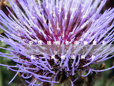 中信信用卡逾期金卡還能用嗎-金條逾期會影響其他信用卡嗎