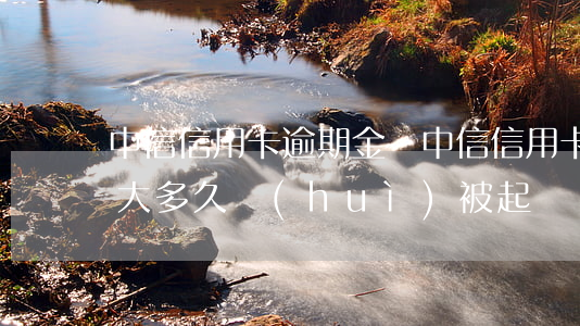 中信信用卡逾期金額(中信信用卡逾期金額多大多久會(huì)被起訴)