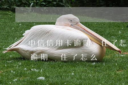 中信信用卡逾期鎖住了怎么辦-中信信用卡逾期鎖住了怎么辦