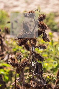 中信信用卡逾期鎖定怎么協(xié)商(中信信用卡逾期鎖定怎么協(xié)商)