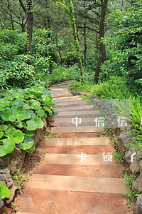 中信信用卡逾期锁卡还能解锁吗-中信银行卡锁了