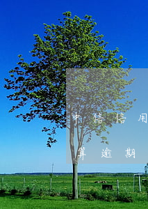 中信信用卡還款日期有沒有逾期(信用卡多久算逾期還款)