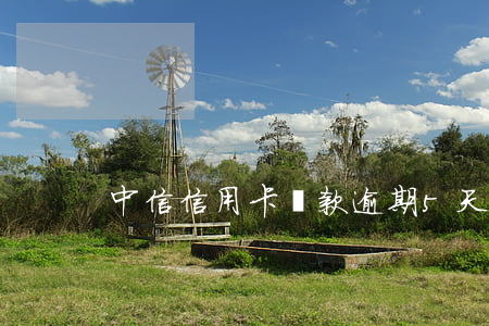 中信信用卡還款逾期5天