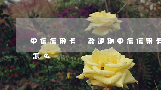 中信 信用卡還款逾期(中信 信用卡還款逾期了怎么辦)