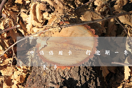 中信信用卡銀行逾期一年(中信信用卡已逾期兩年多)