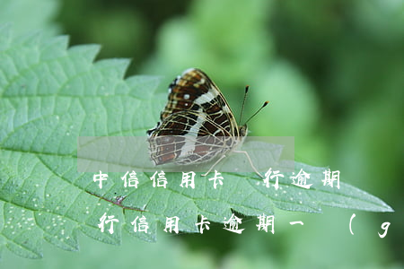 中信信用卡銀行逾期兩個(gè)月(中信銀行信用卡逾期一個(gè)星期會(huì)怎么樣)