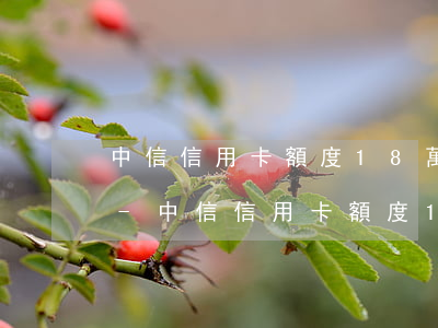 中信信用卡額度18萬(wàn)逾期催收-中信信用卡額度18萬(wàn)逾期催收怎么辦