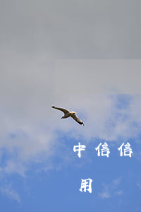 中信信用貸電子賬戶還款逾期征信-中信信用貸電子賬戶還款逾期征信會(huì)顯示嗎