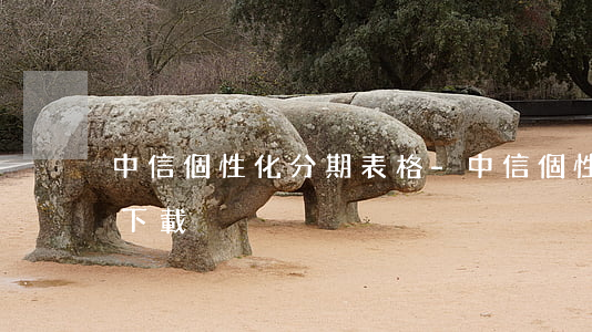 中信個性化分期表格-中信個性化分期表格下載