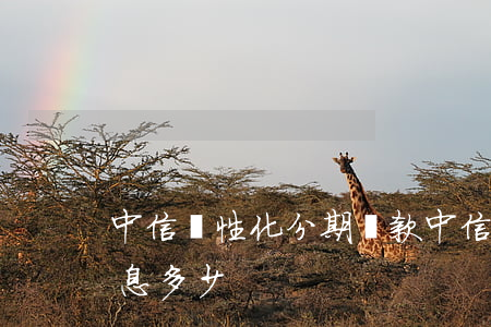 中信個性化分期貸款(中信個性化分期貸款利息多少)