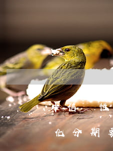 中信個性化分期辦理需要多久(申請中信個性化分期要多久有結(jié)果)