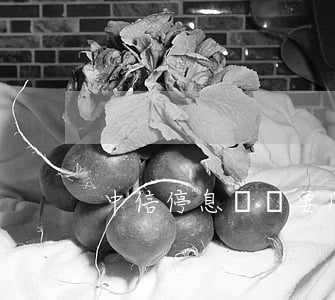中信停息掛賬要困難證明(中信銀行停息掛賬)