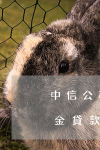 中信公積金貸款逾期怎么辦-中信銀行公積金貸款多久放款