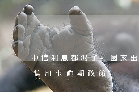 中信利息都退了-國家出臺(tái)減免信用卡逾期政策