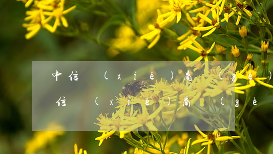 中信協(xié)商個(gè)性化分期(中信協(xié)商個(gè)性化分期讓先還20)
