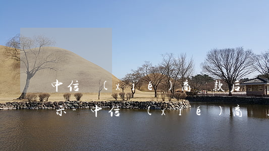 中信協(xié)商還款后賬單怎么沒有顯示-中信協(xié)商還款后賬單怎么沒有顯示還款