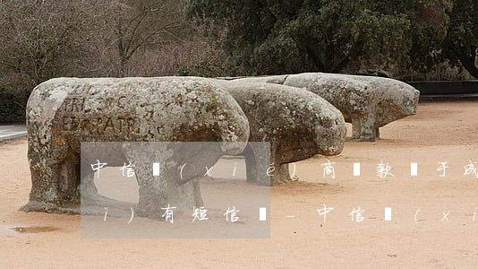 中信協(xié)商還款終于成功會(huì)有短信嗎-中信協(xié)商還款終于成功會(huì)有短信嗎知乎