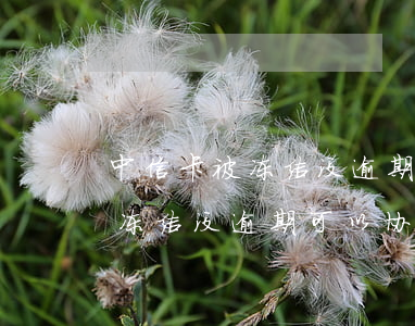 中信卡被冻结没逾期可以协商嘛-中信卡被冻结没逾期可以协商嘛还款吗