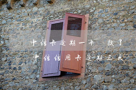 中信卡逾期一年還款了還有額度可以使用嗎（中信信用卡逾期三天還上很脹）