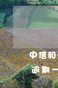 中信和光大信用卡逾期一天(光大銀行信用卡逾期一天有沒有影響?)